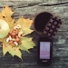 Garmin Oregon 700